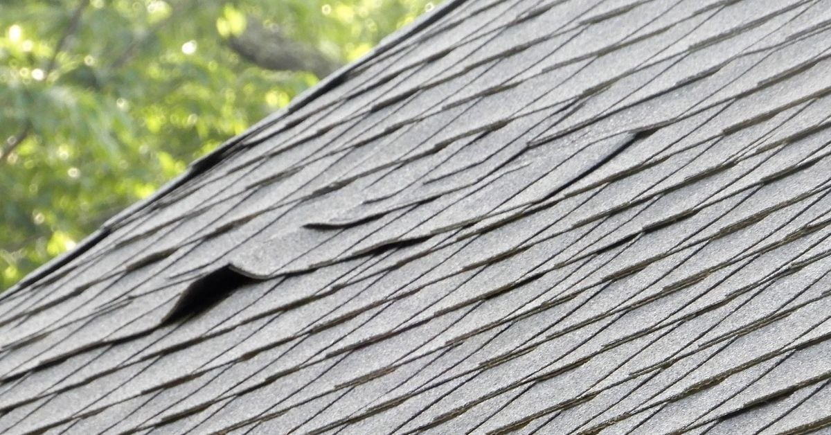 Hero - 2025-11-24T112624.730