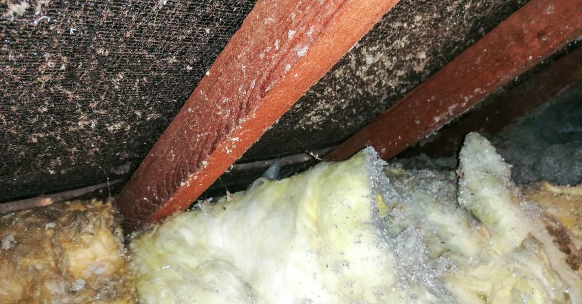 Hero - 2026-04-28T112708.995